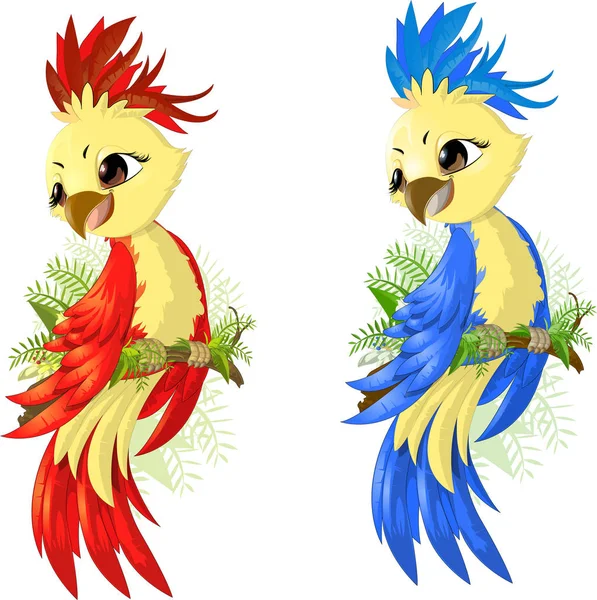 Two options parrot — Stock Illustration Two options parrot Vector Graphics