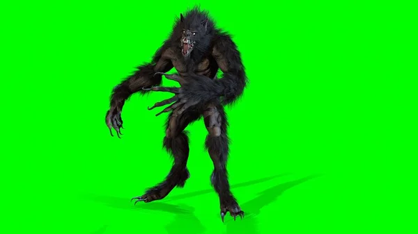 Hombre Lobo Renderizar Fondo Chromakey —  Fotos de Stock