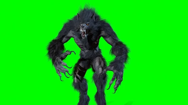 Werewolf 3d render — Stock Photo, Image