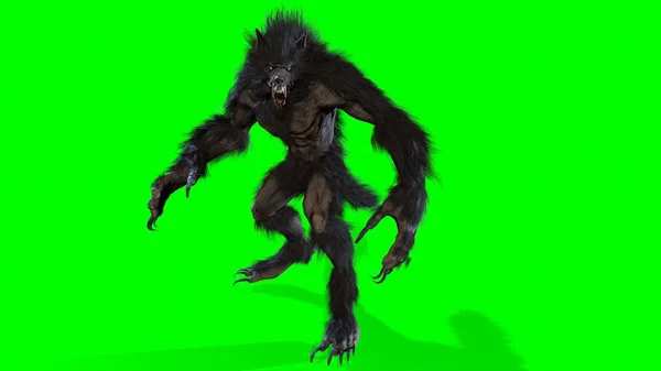 Hombre lobo 3d render — Foto de Stock