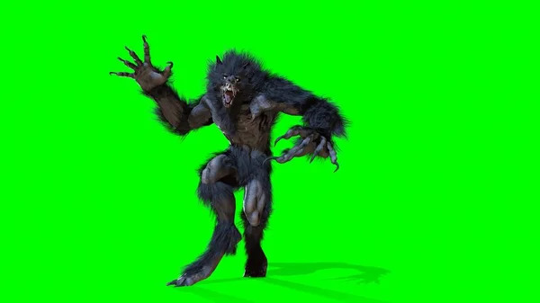 Hombre lobo 3d render —  Fotos de Stock