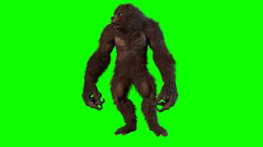 ayı 3d render görüntü vardı