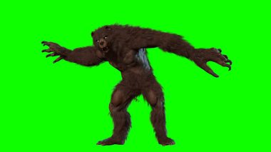 ayı 3d render görüntü vardı