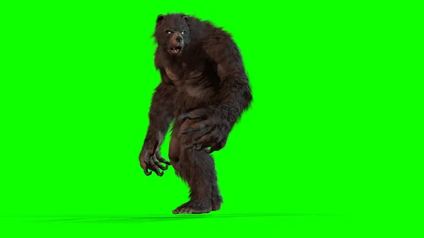 Waren Bear 3D render image — Stockfoto