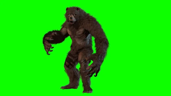 Waren Bear 3D render image — Stockfoto