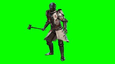 Zırhlı Şövalye, 3 boyutlu görüntüleme.