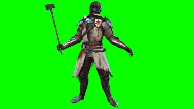 Zırhlı Şövalye, 3 boyutlu görüntüleme.