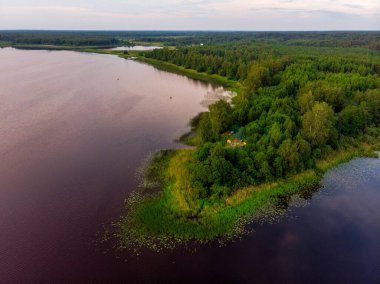 Vitebsk bölgesinin kuzeyindeki Thiosto Gölü 'nde Rusya sınırında bir pelerin..