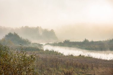 Ekim parkında güzel bir sonbahar! Loshitsa Parkı! Svisloch nehri ve sarı ağaç yaprakları! Belarus 'ta harika bir sonbahar! Bazen sis olur.!