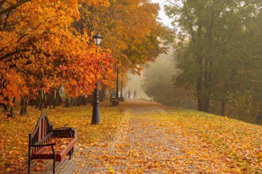 Minsk 'te bir sonbahar gününde meşe sokağında! Peri masalı ve güzellik! Minsk 'teki Loshitsa Parkı.