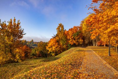 Parkta sonbahar geçidi! Sarı ve kırmızı yapraklar! Küçük kayma ve patika. Hafif sis ve parlak yapraklar.