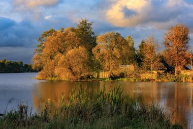 Sonbahar manzarası! Akşam güneşi evi ve göl kenarındaki ağacı aydınlatıyor! Tüm sarı sonbahar renkleri.