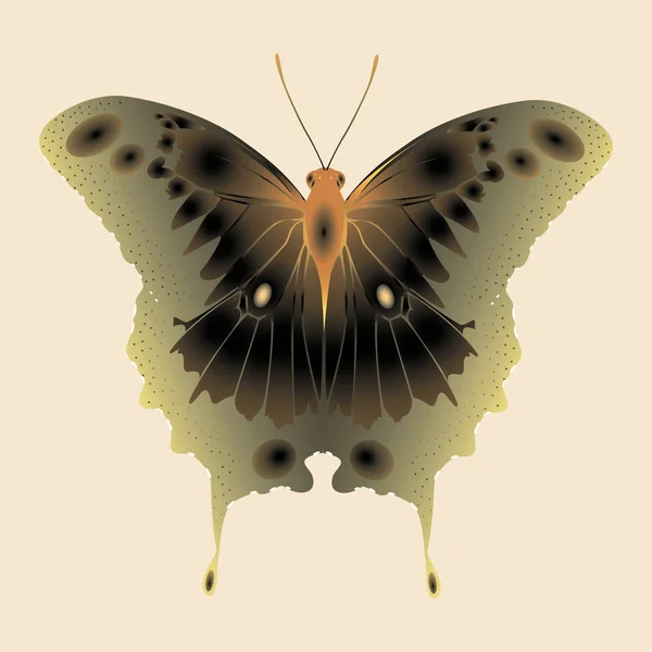 ベージュ色の背景にオリーブのオレンジ色の蝶 — ストックベクタ