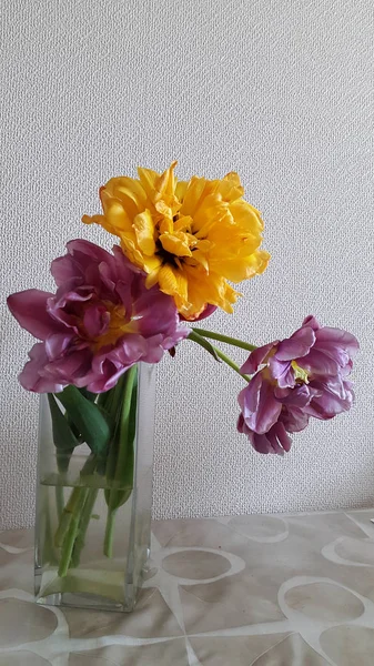 Bouquet Tulipani Sfondo Beige — Foto Stock