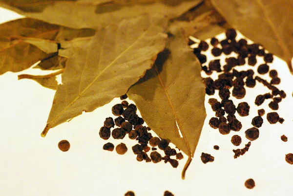 スパイスの月桂樹の葉と唐辛子 — ストック写真