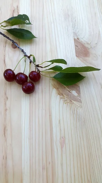 Cherries Branch Cherries Light Wood — Stock Photo, Image