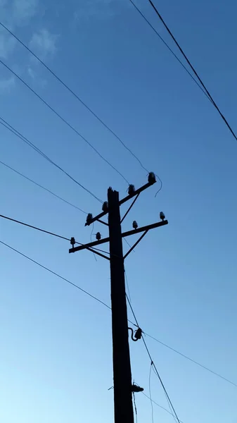 Pilar Poste Con Cables Eléctricos Instalación Electrificación — Foto de Stock