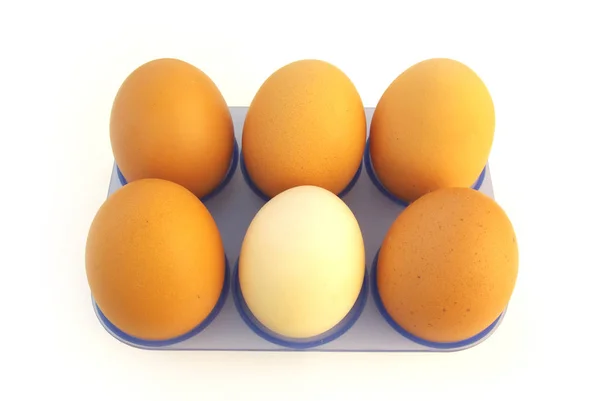 白い背景の上の鶏の卵トレイ — ストック写真