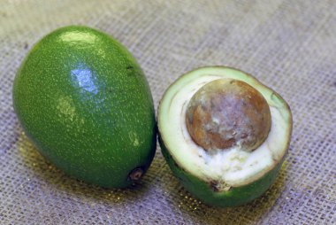 Avokado. Kaba kumaş üzerine taze avokado. Fotoğraf dilimlenmiş avokado