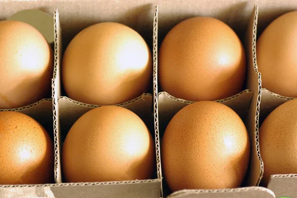 鶏の卵 トレイに卵 — ストック写真