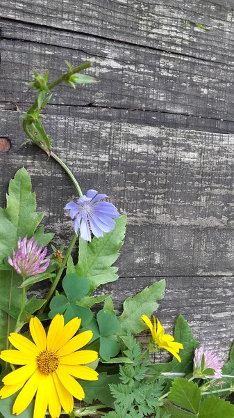 Wildblumen Und Blätter Auf Altem Holz Hintergrund Für Karten — Stockfoto