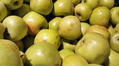 Elma. Yeşil elma. Taze elma fotoğrafı