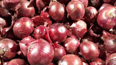Soğan ampulleri. Kırmızı taze soğan
