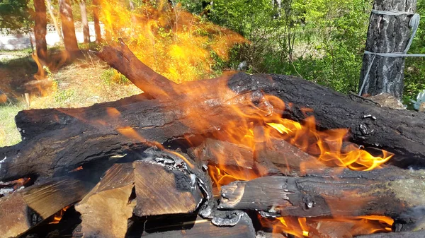 Ognisko Ognia Mangal Spalanie Drewna Opałowego Camping Spalanie Drewna Opałowego — Zdjęcie stockowe