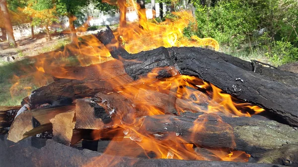 Ognisko Ognia Mangal Spalanie Drewna Opałowego Camping Spalanie Drewna Opałowego — Zdjęcie stockowe