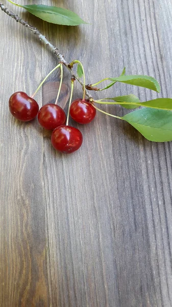 Kirschen Kirschzweig Zweig Mit Kirschen Auf Dunklem Holz — Stockfoto