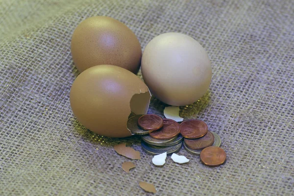 ビジネス クリエイティブコンセプト 卵殻から注がれたコイン — ストック写真