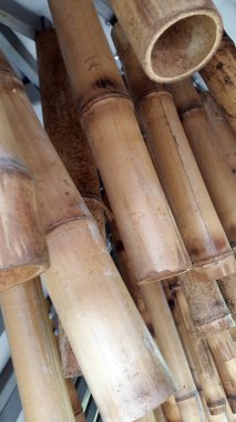 Bambu. Bambu sapları. Bambu kuru sapları