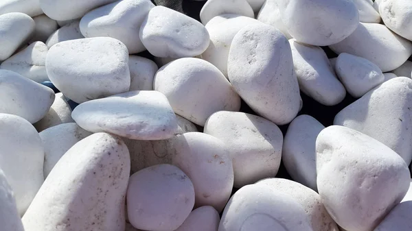 Stones. Small white pebbles. Ground stones. Small decorative stones