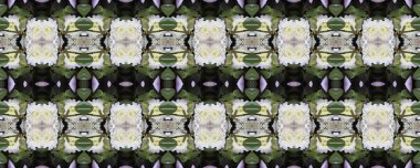 Çiçekli arka plan. Dikişsiz doku. Dikişsiz duvar kağıdı ve metin