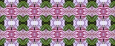 Çiçekli arka plan. Dikişsiz doku. Dikişsiz duvar kağıdı ve metin