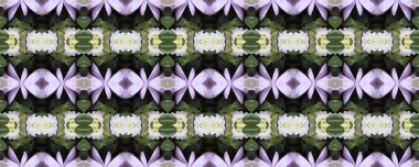 Çiçekli arka plan. Dikişsiz doku. Dikişsiz duvar kağıdı ve metin