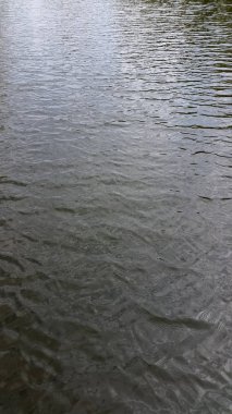 - Su. Su yüzeyi nehri. Göl. Doğal arka plan. Dalgalı sörf