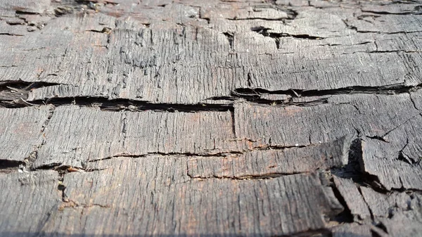Fa. Régi, rohadt fa. Vintage repedt fa. Időjárásos felület. — Stock Fotó