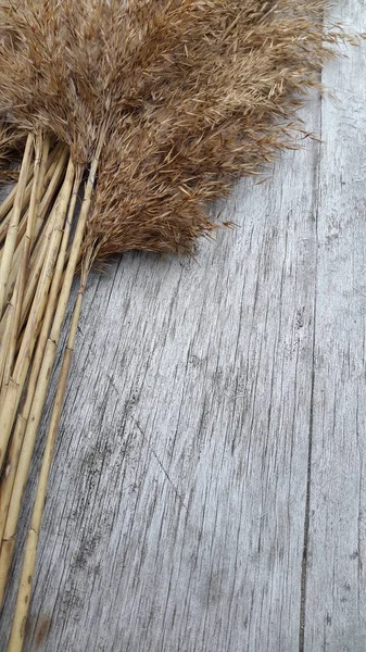 Cartão postal. Grama seca. Grama de campo seco. Grama seca em um bac lenhoso — Fotografia de Stock