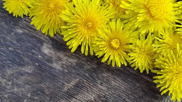 Кульбаби. Фон з квітів кульбаби. Креативний задній план — стокове фото