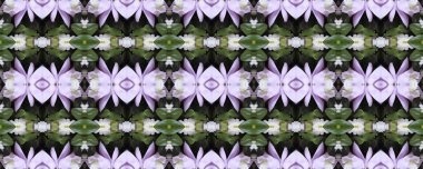 Çiçekli arka plan. Dikişsiz doku. Dikişsiz duvar kağıdı ve metin