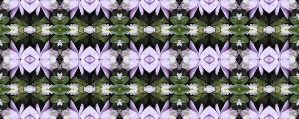 Çiçekli arka plan. Dikişsiz doku. Dikişsiz duvar kağıdı ve metin