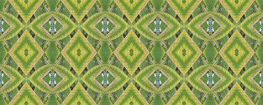 Çiçek deseni. Kusursuz bir süs. Çiçek süsü. Tertemiz.