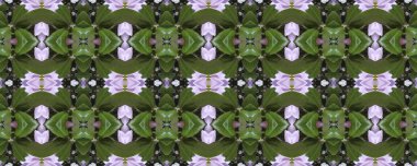 Çiçekli arka plan. Dikişsiz doku. Dikişsiz duvar kağıdı ve metin