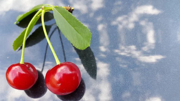 Cherries. Ripe cherry fruits. Ripe cherries on a tree