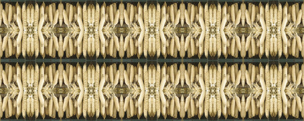 Seamless background. Modern style. Seamless ornament. Creative b