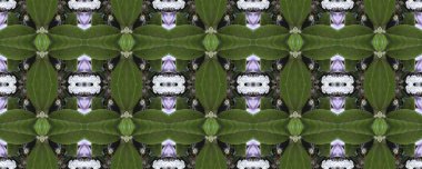 Çiçekli arka plan. Dikişsiz doku. Dikişsiz duvar kağıdı ve metin