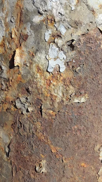 Ağaç desenli eski ahşap arkaplan