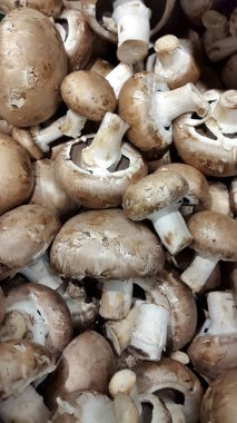 Kraliyet şampiyonları. Şampiyonlar grubu. Taze çayın arka planı