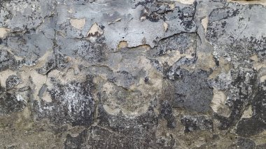 Sıva. Çatlaklar. Kırsal alçı çatlamış.